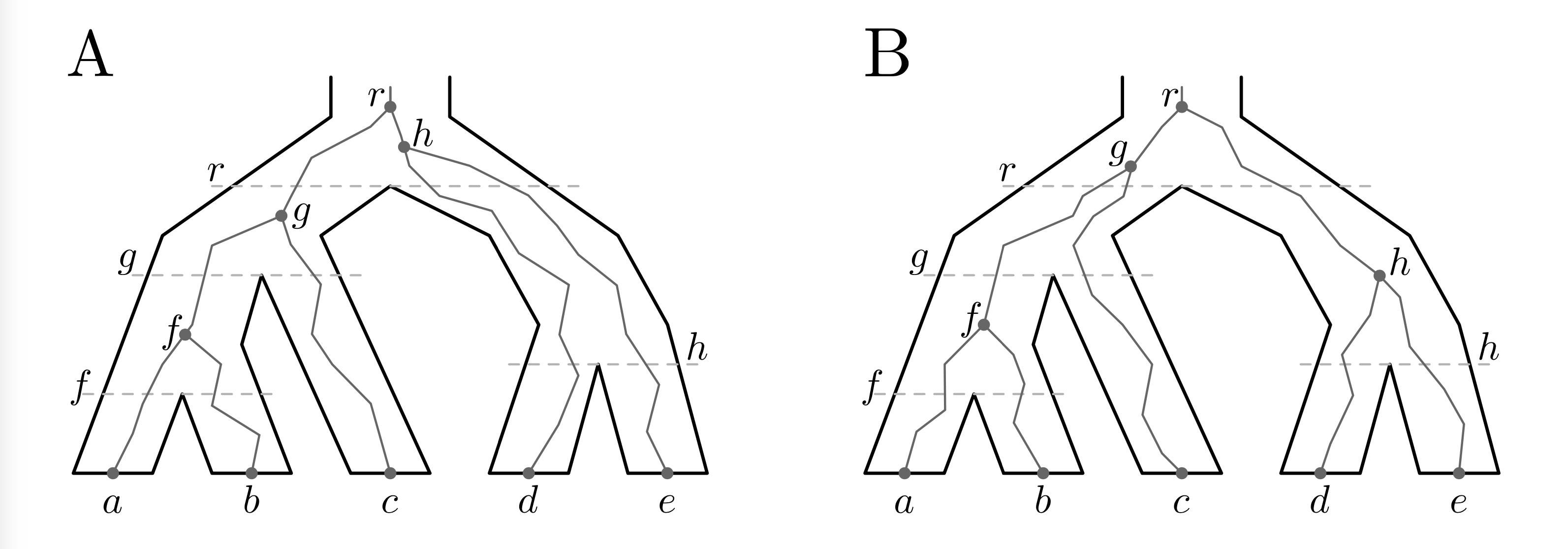 Figure 1 Two example realizations of G in S. The gene tree G is shown in gray, and the species tree S is shown in black. The nodes of the species tree are represented by horzontal dashed lines.